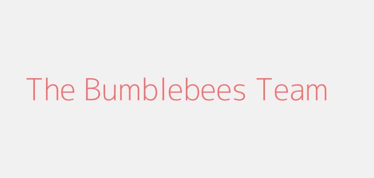 The Bumblebees Team